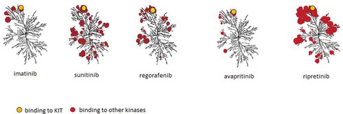Figure 1. Kinome illustrations of imatinib, sunitinib, regorafenib, avapritinib, and ripretinib. Red circle represent various kinases. Avapritinib specifically inhibits PDGFRA D842V. Illustration reproduced courtesy of Cell Signaling Technology, Inc. (www.cellsignal.com)