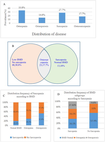 Figure 2. (A) Frequency of osteosarcopenia criteria in hemodialysis patients; (B) Intersections between low BMD,and sarcopenia. Presented as n (%); (C) Distribution frequency of BMD subgroups according to sarcopenia. Chi-square test for comparisons between 2 groups (normal, sarcopenia): p = 0.016; (D) Distribution frequency of Sarcopenia according to BMD status. Chi-square test for comparisons among 3 groups (normal, osteopenia, osteoporosis): p = 0.027.