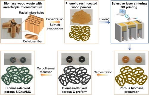 Figure 1. Schematic of 3D printed porous biomass–derived SiCnw/SiC composite.