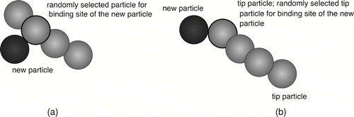 FIG. 3 Schematic representing the (a) Case 1 binding method (van der Waals interactions) and (b) Case 2 binding method (Coulomb forces). The gray particles are particles existing within the computational boundary, and the black particle is the new particle searching for a binding site. The gray particle circled in black is the randomly chosen particle for binding.