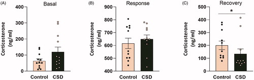 Figure 3. Chronic social defeat stress affects corticosterone recovery levels following a stressor in female C57Bl/6n mice. (A) Basal morning corticosterone levels are unaffected following 21 days of social defeat. Following the stressor (forced swim test; FST) the corticosterone response (B) 30 min after FST onset was affected by chronic social defeat (CSDS) exposure, whereas the corticosterone recovery (C) 90 min after FST onset was reduced in CSDS mice compared to controls. CSDS: chronic social defeat stress; data represent mean ± SEM; *p < 0.05.