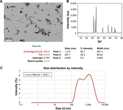 Figure 1 Characterization of ZnO NPs.Notes: (A) TEM image indicating that the original shape of particles was a hexagonal prism and the original size was ~50 nm. (B) X-ray diffraction pattern of ZnO NPs. (C) Average hydrous size of ZnO NPs in deionized water.Abbreviations: Diam, diameter; PdI, polydispersity index; TEM, transmission electron microscopy; ZnO NPs, zinc oxide nanoparticles.