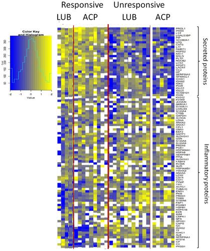 Figure 1 Heat maps showing the result of hierarchical clustering of the changes in tear proteins. Each row represents a tear protein. Secreted proteins are shown in the top, and inflammatory proteins are shown in the bottom of the heat map. A blue color represents a decrease in the tear protein, whereas a yellow color represents an increase in the tear protein after treatment, compared to baseline readings. Participants (columns), ACP: acupuncture with artificial tear, LUB: only artificial tear. White squares: tear protein not detected. Only proteins with missing values less than 50% of the time were displayed.