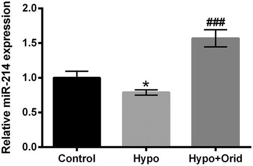 Figure 3. Effect of Orid on miR-214 expression in hypoxia-treated H9c2 cells. RT-qPCR assay was adopted for the examination of miR-214 expression in hypoxia and Orid (5 μM) co-handled H9c2 cells. *p < .05: hypoxia group vs. control group; ###p < .001: hypoxia + Orid group vs. hypoxia group.