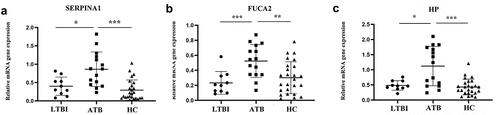 Figure 5. Verification in clinical samples. (a) SERPINA1 mRNA expression in active tuberculosis, latent tuberculosis infection and healthy controls; (b) FUCA2 mRNA expression in active tuberculosis, latent tuberculosis infection and healthy controls; (c) HP mRNA expression in active tuberculosis, latent tuberculosis infection and healthy controls; *represents P < 0.05; ** represents P < 0.01; ***represents P < 0.001; ATB: active tuberculosis, LTBI: latent tuberculosis infection, HC: healthy control. Nonparametric one-way ANOVA(Kruskal-Walls) analyses were performed on measurement of mRNA expression levels