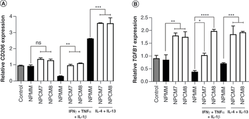 Figure 4. Promotion of proregenerative markers in induced pluripotent stem cell microglia in the presence of conditioned media from mesenchymal stem cell-derived neural progenitors.Human induced pluripotent stem cell-derived microglia cells were either unstimulated (resting phenotype), stimulated with IFN-γ, TNF-α and IL-1β (proinflammatory phenotype), or stimulated with IL-4 and IL-13 (proregenerative phenotype) in either unconditioned medium (NPMM) or MSC-NP-conditioned media from two individual MSC-NP cell lines (NPCM7 and NPCM8). Relative mRNA levels of M2 markers (A)CD206 and (B)TGFB1 were determined by qPCR. All data are representative of at least two experiments. Values represent mean ± standard deviation.*p < 0.05; **p < 0.01; ***p < 0.001; ****p < 0.0001.MSC-NP: Mesenchymal stem cell-derived neural progenitor; NPCM: Neural progenitor-conditioned medium; NPMM: Neural progenitor maintenance medium; ns: Not significant.