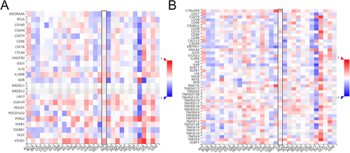 Figure 9 Correlation analysis between KRT19 expression and immunoinhibitors and immunostimulators in pan-cancers. (A) Correlation heatmap between KRT19 and immunoinhibitors in tumors. (B) Correlation heatmap between KRT19 and immunostimulators in tumors.