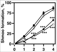 Figure 3. VLCFA elongation is required for shmoo formation in response to mating pheromone. 1 × 107 cells/ml were incubated with 20 μg/ml α factor and cell aliquots were collected at 0, 1, 2, 3, 4, hr. The percentages of shmoo formed per 300 cells were determined using light microscopy. bar1 cells (black circles); elo1 cells (open circles), elo2 cells (closed diamonds); elo3 cells (open diamonds). n = 5, *p < 0.01, ***p < 0.0001.