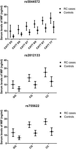 Figure 1 Associations between genetic variants of the MIF gene and serum level of MIF.