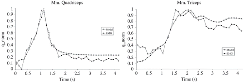 Figure 8. Comparison of measured and calculated muscle activation for L_70.