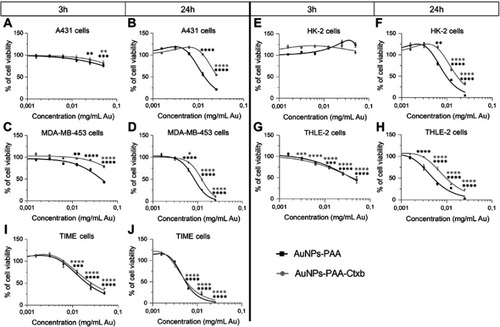 Figure 4 Cell viability after exposure to AuNPs-PAA (black curves) and AuNPs-PAA-Ctxb (gray curves) of A431 cells (A and B), MDA-MB-453 cells (C and D), HK-2 cells (E and F), THLE-2 cells (G and H) and TIME cells (I and J). Cells were exposed to increasing concentrations of AuNPs-PAA or AuNPs-PAA-Ctxb for 3 h or 24 h. The number of viable cells was assessed by MTS assay. The results are expressed as the mean percentage of viable cells relative to the unexposed cells ± SE and are obtained from at least three independent experiments with a minimum of three replicates per condition. A significantly reduced viability compared to the unexposed control was calculated by a one-way ANOVA and a Dunnett post-hoc test (*p<0.05, **p<0.01, ***p<0.001 ****p<0.0001).Abbreviations: A431, human epidermoid cancer cells; ANOVA, analysis of variance; AuNPs-PAA, polyallylamine-coated gold nanoparticles; Ctxb, Cetuximab; HK-2, human kidney cells; MDA-MB-453, human breast cancer cells; MTS, 3-(4,5-dimethylthiazol-2-yl)-5-(3-carboxymethoxyphenyl)-2-(4-sulfophenyl)-2H-tetrazolium); SE, standard error; THLE-2, human liver cells; TIME, human telomerase immortalized microvascular endothelial cells.