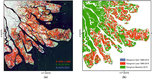 Figure 7. (a) Mahakam delta, East Kalimantan. L-band SAR temporal composite. Red areas indicate mangrove loss (Credit: JAXA/Ministry of Economy, Trade, and Industry); (b) Corresponding mangrove change map, showing 2010 extent in green and changes between 1996 and 2010 in red (losses) and blue (gains) (Credit: Global Mangrove Watch, 2015).