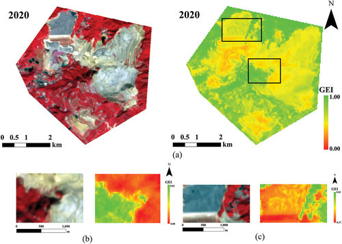 Figure 17. Comparison of the standard false-color synthesized gaofen-1 16m-resolution images with the GEI 30m-resolution image. (a) Entire area validation, left: gaofen-1 image, right: GEI image; (b) local area validation (area 1); and (c) local area validation (area 2).