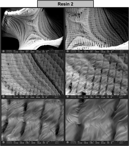 Figure 18. Photographs of a print obtained with resin 2 using DLP technology; images obtained on a scanning electron microscope.