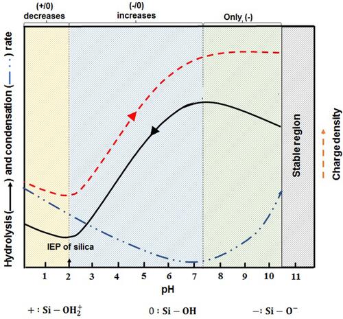 Figure 1 Effects of pH value on the silica condensation rate, charge properties and charge density on the surface of the silica species.
