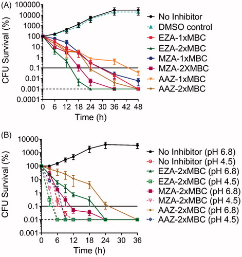 Figure 3. Analysis of the time and dose dependency of the antimicrobial action of AAZ, MZA, and EZA on H. pylori P12. (A) Bactericidal kinetics for 1 × MBC and 2 × MBC of the respective sulphonamide, measured at neutral pH (B) Bactericidal kinetics for 2 × MBC of the respective sulphonamide under neutral (pH 6.8) and acidic (pH 4.5) conditions. The horizontal dashed line represents the limit of detection (100 cells) and the horizontal solid line corresponds to 99.9% cell death. Error bars represent the standard error of the mean for three independent biological replicates.