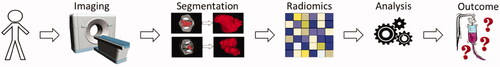 Figure 2. This flowchart shows the generalized overview of the neoadjuvant and adjuvant studies from patient image acquisition (CT, MRI, PET), tumor segmentation, radiomic signature, machine learning analysis, and the predicted outcome. These studies capture prognosis, recurrence, therapeutic response, survival, and tumor volume. These various outcome categories describe different aspects of the effectiveness of either neoadjuvant or adjuvant chemotherapy [Citation24,Citation25].