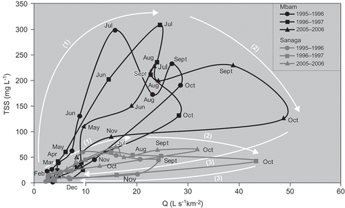 Figure 3. Relationships between monthly TSS concentrations and flow discharges for the Mbam and Sanaga rivers at Ebebda, showing clockwise hysteresis loops. (1) Initial erosion, (2) attenuated or late erosion, (3) deposition.