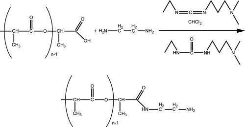 Figure 1 Scheme of the synthesis of an amino spacer on polylactide.