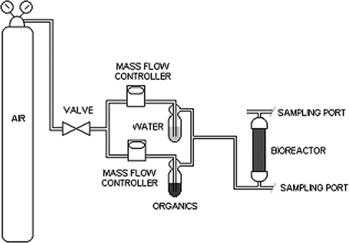 Figure 1. Schematic view of the experimental laboratory-scale biofilter system.