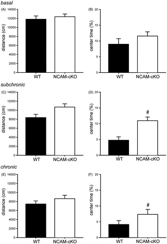 Figure 3. Open field behavior. (A–B) Experiment 1: Open field behavior under basal conditions. (A) Distance travelled in the open field. There were no differences in distance travelled between the genotypes. (B) Time in the center of the open field. The percentage of time spent in the center zone of the apparatus did not differ between the two groups under basal conditions. (C–F) Experiment 2. (C–D), Open field behavior after subchronic stress. (C) Distance travelled in the open field. No differences were detected in distance travelled between the genotypes. (D) Time in the center of the open field. The percentage of time spent in the center zone was significantly increased in NCAM-cKOs compared to WTs. (E--F) Open field behavior after chronic stress. (E) Distance travelled in the open field. After chronic stress, there was no significant difference between the two genotypes in distance travelled. (F) Time in the center of the open field. There was a significant genotype difference regarding percentage of time spent in the center zone. #p < 0.05 versus WT.