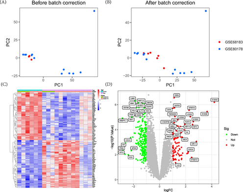 Figure 2 Dataset preprocessing and difference analysis. (A) Principal component analysis (PCA) analysis before batch effect removal; (B) PCA analysis after batch effect removal; (C) Heatmap of differential analysis between diabetic foot ulcer (DFU) group and control group; (D) Volcano plot of differential analysis between DFU group and control group.