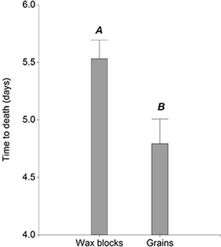 Figure 2. Average time to death (± standard error) of rats treated with bromadiolone wax block and grain baits. Different letters indicate significant differences between groups (least significant difference (LSD) test, p < 0.05).
