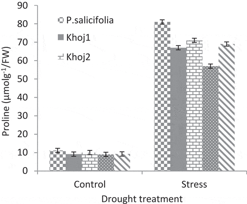 Figure 6. Interaction effect of drought stress and pear species on proline content.