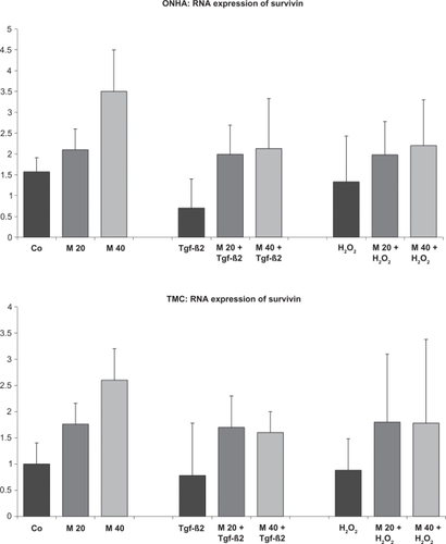 Figure 7 Survivin mRNA expression measured by quantitative RT-PCR. ONHA treated with minocycline 40 μM showed a significant increase in survivin mRNA expression compared with the control. TMC showed this increase for minocycline 20 μM and 40 μM. TGFβ-2 decreased survivin expression, and H2O2 treatment slightly decreased survivin expression for both cell lines. Treatment with minocycline 20 μM and 40 μM and additional treatment with TGFβ-2 increased expression of survivin compared with cells treated only with TGFβ-2. For cells treated additionally with H2O2, ONHA cells only showed a slight increase and TMC cells showed a more pronounced increase when pretreated with minocycline concentrations compared with cells treated with H2O2 only. All differences between the two minocycline concentrations and the corresponding controls are statistically significant except for the H2O2 group with ONHA.