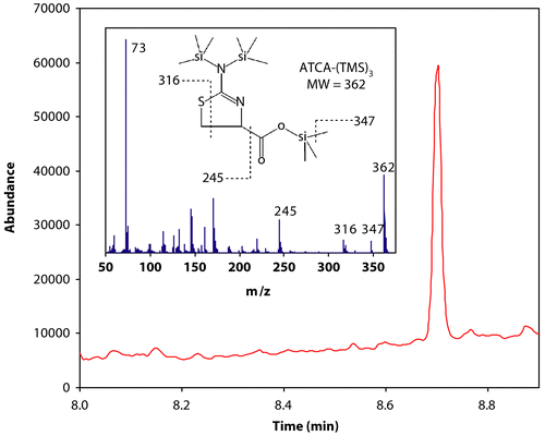 Figure 2.  GCMS chromatograph of derivatized ATCA (ATCA-(TMS)3) in plasma. The chromatograph above is the total ion chromatograph (in selected ion mode; see ‘Materials and Methods’ for details) of the plasma of a smoking volunteer. The ATCA-(TMS)3 peak appears at 8.7 minutes. Inset is the full mass spectrum and chemical structure of ATCA-(TMS)3. Some of the ions in the mass spectrum are assigned above.
