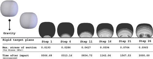 Figure 7 Von Misses stresses values on sections of the sample plot at steps.
