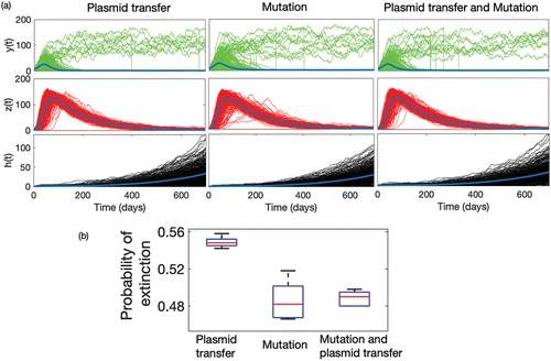 Figure E3. (a) Time series of sensitive strain y(t) (Green) and resistant strain z(t) (Red) and income h(t) (Grey) under different mechanistic process of emergence: mutation, plasmid transfer, and both mutation and plasmid transfer. (b) Box plot of probability of extinction of resistant strain z(t) under different process.