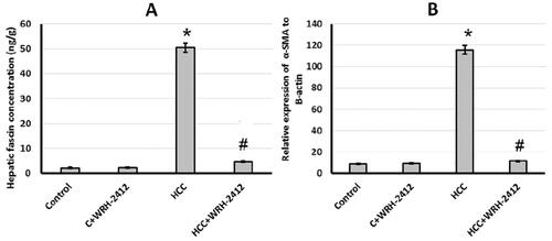 Figure 9. Effect of 5 mg/kg WRH-2412 on vascular invasion markers. (A) Fascin and (B) α-SMA protein levels in the experimental groups. Values are expressed as the mean ± SEM, *p < 0.05 vs. control; #p < 0.05 vs. HCC group; HCC: hepatocellular carcinoma; C: control.