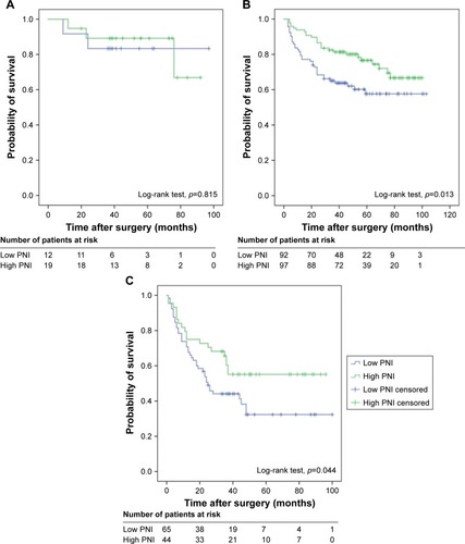 Figure 3 Kaplan–Meier survival curves for different EORTC-GUCG risk groups of patients with non-muscle-invasive bladder cancer stratified by PNI: (A) low risk; (B) intermediate risk; and (C) high risk.