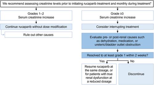 Figure 7 Guidelines for managing serum creatinine elevations. *Dose adjustments are not necessary for patients with a mild-to-moderate reduction in glomerular filtration rate (creatinine clearance of 30–89 mL/min).Citation10