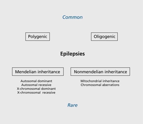 Figure 1. Schematic representation of genetic and nongenetic etiologies in epilepsy.