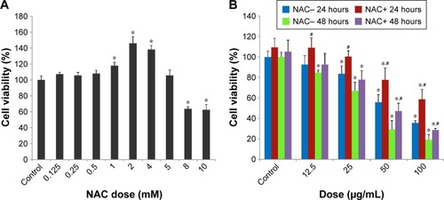 Figure 2 The declined cell viability of HUVECs induced by SiNPs, and restored by NAC.Notes: (A) The cytotoxicity of NAC on HUVECs assessed by MTT assay. Cells were treated with NAC for 24 hours at various concentrations, which were 0.125, 0.25, 0.5, 1, 2, 4, 5, 8, and 10 mM, respectively. Control received culture medium only. Finally, 5 mM was chosen as the dose of NAC for the following study. (B) Cell viability of HUVECs measured by MTT assay. Cells were pretreated with 5 mM NAC for 2 hours followed by exposure of SiNPs (12.5, 25, 50, and 100 μg/mL, respectively) for either 24 or 48 hours. All values are mean ± SD of three identical experiments made in triplicate. *P<0.05 vs control and #P<0.05 for SiNPs vs SiNPs plus NAC.Abbreviations: HUVECs, human umbilical vein endothelial cells; SiNPs, silica nanoparticles; NAC, N-acetylcysteine; MTT, 3-(4,5-dimethylthiazol-2-yl)-2,5-diphenyl-tetrazolium bromide; SD, standard deviation.