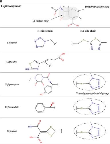 Figure 2 (A and B) Chemical structures of cephalosporins other than aminocephalosporins, with the methoxyimino group of cephalosporins of group A highlighted in gray and the alkoxyimino group of ceftazidime and N-methyltetrazole-thiol group of cefamandole and cefoperazone circled in black.