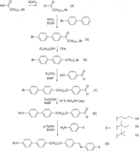 Scheme 2. Synthesis of the CBnO.X dimers, where n = 5, 6, 8 or 10, and X = n-,sec- or tert-butyl.