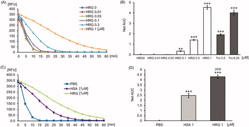 Figure 5. The effect of HRG on peroxyl radical. The quenching curve of the fluorescent probe in a concentration-dependent manner (HRG 0–1 µM) (A) or in the group treated with PBS, HSA (1 µM), or HRG (1 µM) (C). The antioxidant capacity was calculated on the basis of the area under the fluorescent decay curve (B and D). Trolox is positive control as antioxidant. The results shown are the means ± SEM of three experiments. ***p < 0.001 vs. PBS (HRG 0 µM). ### p < 0.001 vs. HSA.