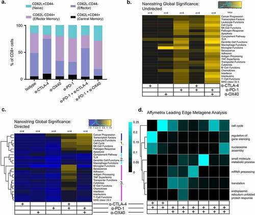 Figure 2. Different immune therapies illicit distinct transcriptomic profiles. RNA isolated from bulk tumor at D4 was analyzed with NanoString pan-cancer immune kit and sequenced by Affymetrix. a. NanoString undirected global significance scores from each treatment group representing variation in gene expression across gene sets vs isotype treated tumors. b. Directed NanoString global significance scores representing a net positive or negative direction to the overall variation in gene expression in a geneset. Gene sets cluster into that differentiate combination immunotherapies are labeled 1–3: Cluster 1 includes gene sets with positive directed global significance scores in both combinations. Cluster 2 includes gene sets with negative scores in both combinations. Cluster 3 includes gene sets with positive scores in α-CTLA-4/α-PD-1 and negative in α-PD-1/α-OX40 treated tumors c. Leading edge metagene analysis from Affymetrix representing gene sets represented by the metagenes associated with combination therapy vs isotype treated tumors. d. Summary flow cytometry analysis of tumor infiltrating CD8 T cell memory subsets