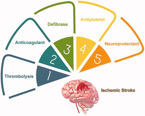 Figure 1. Therapeutic approaches for ischemic stroke.