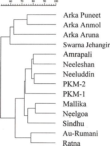 FIGURE 2 Association among mango hybrids revealed by UPGMA cluster analysis according to Jaccard's genetic similarity coefficients calculated from RAPD data generated by ten primers.