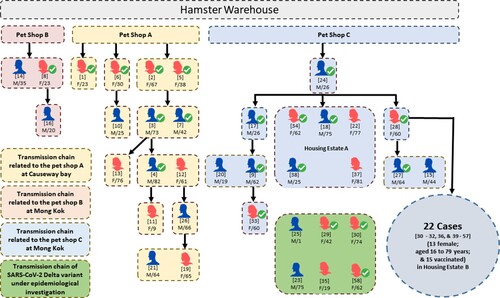 Figure 1. Transmission chain of a probable pet shop-related outbreak due to SARS-CoV-2 Delta AY.127 variant. Male and female laboratory-confirmed COVID-19 patients linked with this outbreak are represented by blue and red icons, respectively. The patients who had received at least two doses of inactivated or mRNA COVID-19 vaccines are indicated by ticks. The case numbers are represented by the numbers in square brackets above the sex and age of each patient. The transmission chain related to pet shop A involved transmission within family members and dining premises. The transmission chain related to pet shop B was limited. The transmission chain related to pet shop C involved transmission within family members and other residents in the same housing estate A and housing estate B.