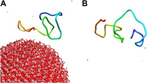 Figure 12 The molecular dynamic study of 2MZ7 segment in the presence (A) and absence (B) of TiO2 cluster after 300 ps evolution.Abbreviation: TiO2, titanium dioxide.