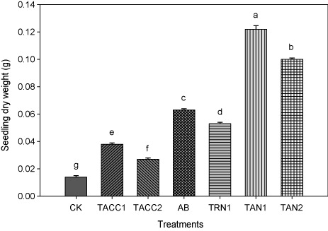 Figure 12. Comparative effectiveness of ACC-deaminase and/or nitrogen-fixing rhizobacteria on seedling dry weight (root + shoot) of tomato. Different letters (a–g) on bars indicate significant differences of mean values for seedling fresh weight. Bars represent standard errors.CK, control; AB, Azotobacter