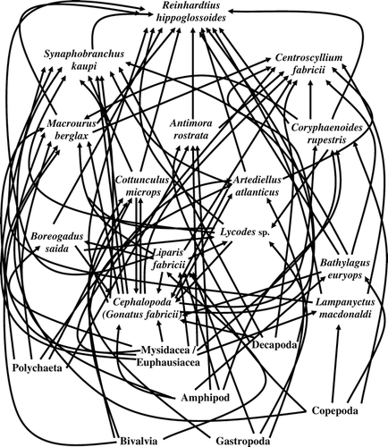 Figure 4 Generalized partial food web of NAFO subarea 0B representing common predator and prey species based on stomach content data from 2000–2001 samples.