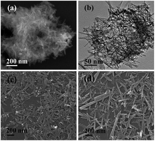 Figure 4. FE-SEM (a), (c), (d) and TEM (b) micrographs showing morphologies of the products obtained with EDTA/RE3+ molar ratio R of 0 (a, b; S7), 0.25 (c; S8), and 0.75 (d; S9).