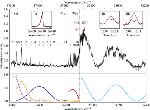 Figure 7. (a) Isolated-core Rydberg-dissociation spectrum of the B+(v+)←X+(v=8) band system of MgKr+ obtained by monitoring the 24Mg+ ions after field ionisation of the high-n Rydberg states of Mg. Inset I presents the rotational contour of the B+(1)←X+(8) band recorded at high resolution (black line) and a calculated profile (red line) obtained using rotational constants of 0.091 and 0.051 cm−1 for the X+(8) and B+(1) states, respectively. Insets II and III show the TOF distributions of Mg+ ions measured at the spectral positions marked by the vertical arrows above the spectrum for laser polarisation parallel (black) and perpendicular (red) to the axis of the TOF mass spectrometer. (b) Intensities derived from Franck–Condon factors (red dots) and densities (full pale-blue line) for the transitions to v+≥15 levels and to the B+-state continuum above the Mg+(3p3/2) threshold, as well as from products of Franck–Condon factors (orange dots and line) of the B+(v+)←X+(8) transition with v+≤14 (blue dots and line) and Franck–Condon densities for the transition from B+(v+) to the continuum of the Mg+(3dσ)Kr+ electronic state (purple dots and line). The bottom and top horizontal axes give the transition wavenumbers and the term values with respect to the X+(0) ground state of MgKr+, respectively. See text for details.