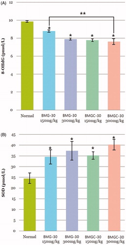 Figure 3. Protective effect of goji berry against oxidative stress. (A) 8-OHdG (oxidative stress marker) (B) SOD (superoxidase). Data are expressed as means. *Statistical significance in comparison with control group. **Statistical significance in comparison with goji berry 150 mg/kg group. (BMG-30 = goji berry, BMGC-30 = goji berry complex).